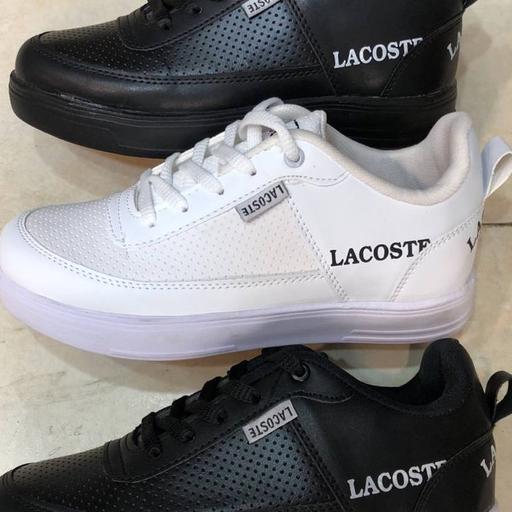 کتانی ونس LACOSTE